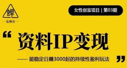 资料IP变现，能稳定日赚3000起的持续性盈利玩法-虫2小屋