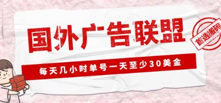 外面收费1980的最新国外LEAD广告联盟搬砖项目，单号一天至少30美金【详细玩法教程】-虫2小屋