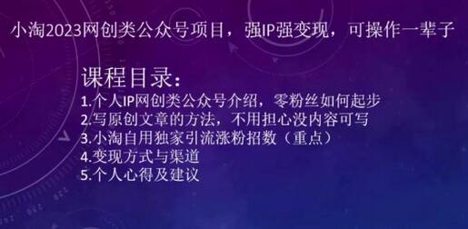 小淘2023网创类公众号项目，强IP强变现，可操作一辈子-虫2小屋