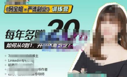 《阿宝姐×严选副业》训练营【Plus版】12期，帮助你找准适合自己的副业，开启斜杠人生-虫2小屋