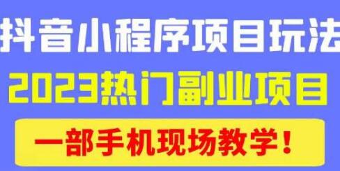 抖音小程序9.0新技巧，2023热门副业项目，动动手指轻松变现-虫2小屋