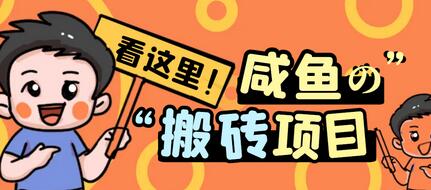 最新闲鱼无脑搬砖项目，单号日入20+【详细视频教程】-虫2小屋