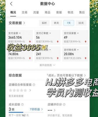 2023拼多多电商项目，稳定一天300～3000+，门槛低，出单快，一部手机即可完成