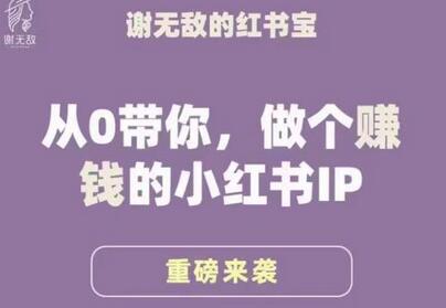 谢无敌·小红书运营大宝典，从0带你做个赚钱的小红书IP-虫2小屋