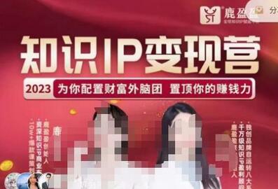 鹿盈盈-知识IP变现实操营，​普通人可复制的知识产品落地实操课，​带你打通知识IP变现底层逻辑-虫2小屋