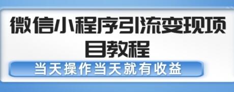 微信小程序引流变现项目教程，当天操作当天就有收益，变现不再是难事-虫2小屋