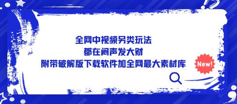 全网中视频另类玩法，都在闷声发大财，附带下载软件加全网最大素材库-虫2小屋