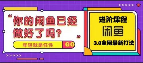 火爆全网的咸鱼玩法进阶课程，单号日入1K的咸鱼进阶课程-虫2小屋