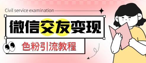 微信交友变现项目，吸引全网LSP男粉精准变现，小白也能轻松上手，日入500+-虫2小屋