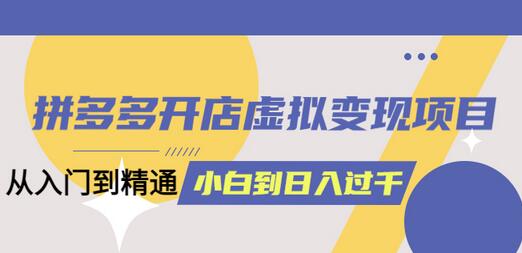 拼多多开店虚拟变现项目：入门到精通 从小白到日入1000（完整版）4月10更新-虫2小屋