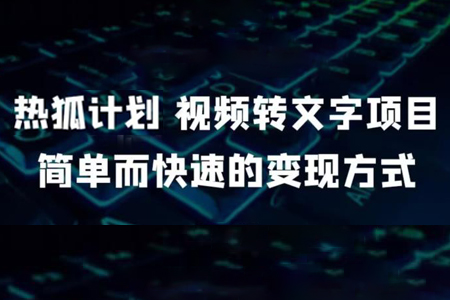 视频转文字项目，简单而快速的变现方式-虫2小屋