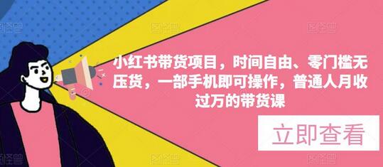 小红书带货项目，时间自由、零门槛无压货，一部手机即可操作，普通人月收过万的带货课-虫2小屋