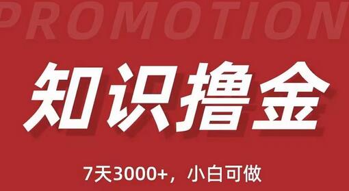 抖音知识撸金项目：简单粗暴日入1000+执行力强当天见收益(教程+资料)-虫2小屋