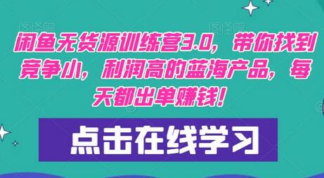 闲鱼无货源训练营3.0，带你找到竞争小，利润高的蓝海产品，每天都出单赚钱！-虫2小屋