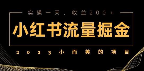 2023小而美的项目，小红书流量掘金，实操一天，收益200+【揭秘】-虫2小屋