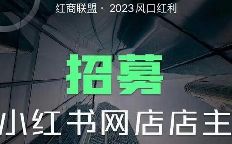 红商联盟·小红书无货源电商1.0，0粉丝无需囤货，小白也可以轻松上手的无货源项目-虫2小屋