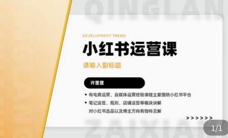 许筐筺·小红书运营课，​笔记运营、规则、店铺运营等模块讲解，学会自己独立运营小红书账号-虫2小屋