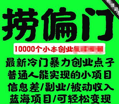 千款捞偏门小本创业小项目，总有一款适合你-虫2小屋