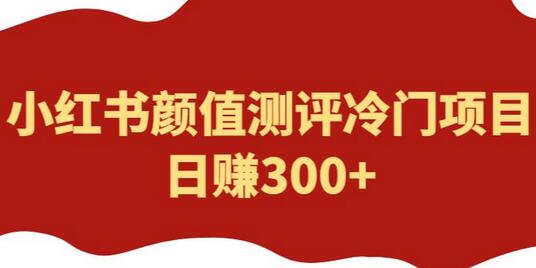 外面1980的项目，小红书颜值测评冷门项目，日赚300+【揭秘】-虫2小屋