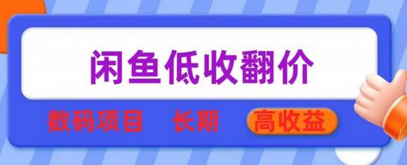 闲鱼低收翻价数码暴利项目，长期高收益-虫2小屋