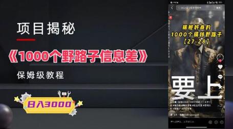 1000个野路子信息差保姆式教程-单日变现3000+的玩法解密-虫2小屋