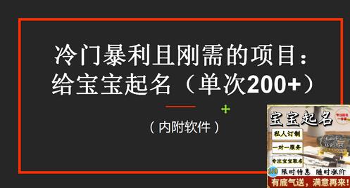 【新课】冷门暴利项目：给宝宝起名（一单200+）内附教程+工具-虫2小屋