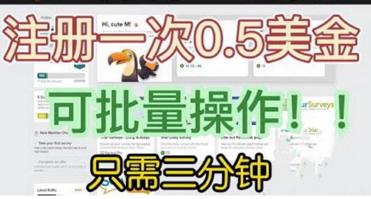 国外项目注册一次0.5美金，只需三分钟无脑操作，可批量同时放大操作，小白工作室福利【揭秘】-虫2小屋