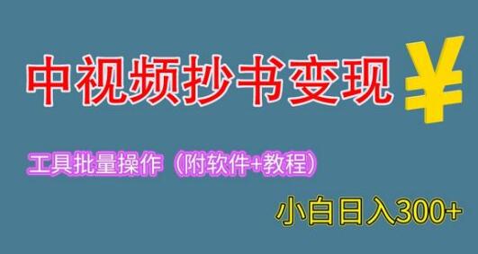 2023中视频抄书变现（附工具+教程），一天300+，特别适合新手操作的副业-虫2小屋