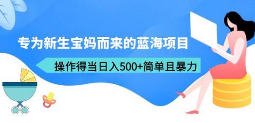 专为新生宝妈而来的蓝海项目，操作得当日入500+简单且暴力（教程+工具）-虫2小屋