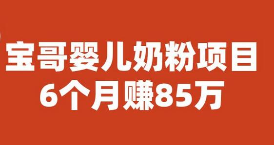 宝哥婴儿奶粉项目，6个月赚85w【图文非视频】-虫2小屋