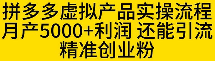 拼多多虚拟产品实操流程，月产5000+利润，还能引流精准创业粉-虫2小屋