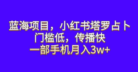 蓝海项目，小红书塔罗占卜，门槛低，传播快，一部手机月入3w+-虫2小屋