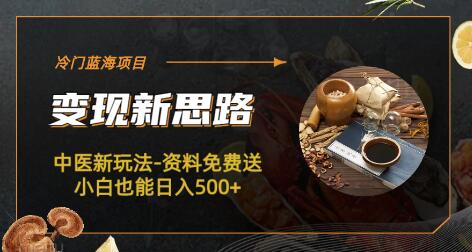 冷门蓝海项目-中医新玩法-资料免费送小白也能日入500+-虫2小屋