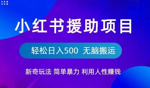 小红书援助项目新奇玩法，简单暴力，无脑搬运轻松日入500-虫2小屋