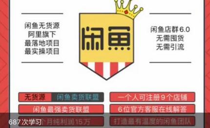 闲鱼无货源店群玩法6.0，无需囤货，无需引流，两个月盈利18W的核心秘籍，所有细节一清二楚-虫2小屋