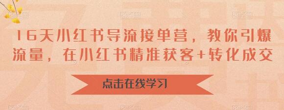 16天小红书导流接单营，教你引爆流量，在小红书精准获客+转化成交-虫2小屋