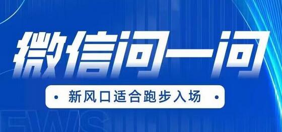 全网首发微信问一问新风口变现项目（价值1999元）-虫2小屋