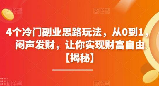 4个冷门副业思路玩法，从0到1，闷声发财，让你实现财富自由-虫2小屋