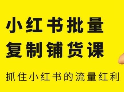 张宾·小红书批量复制铺货课，抓住小红书的流量红利 （更新2023年6月）-虫2小屋
