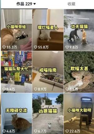 拆解：抖音盘点类中视频变现副业项目，视频版一条龙大解析分享给你