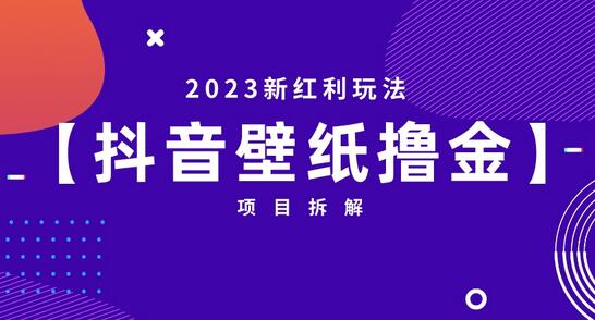 2023新红利玩法：抖音壁纸撸金项目-虫2小屋