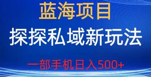 蓝海项目，探探私域新玩法，一部手机日入500+很轻松-虫2小屋