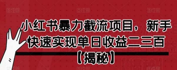 小红书暴力截流项目，新手快速实现单日收益二三百-虫2小屋