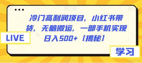 冷门高利润项目，小红书带货，无脑搬运，一部手机实现日入500+-虫2小屋
