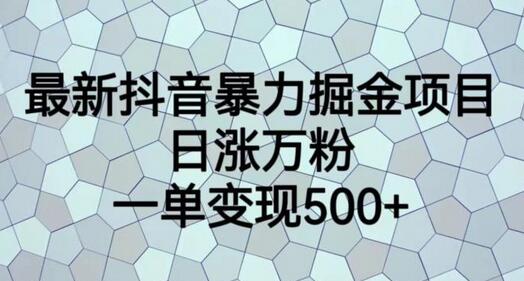 最新抖音暴力掘金项目，日涨万粉，一单变现500+-虫2小屋