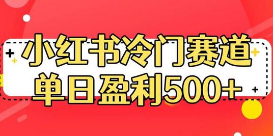 小红书冷门赛道，单日盈利500+-虫2小屋