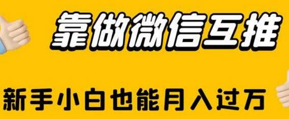 靠做微信互推，新手小白也能月入过万-虫2小屋