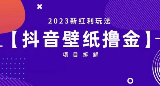 抖音壁纸小程序创作者撸金项目，2023新红利玩法-虫2小屋
