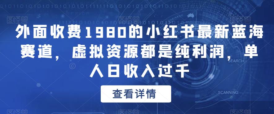 外面收费1980的小红书最新蓝海赛道，虚拟资源都是纯利润，单人日收入过千-虫2站点