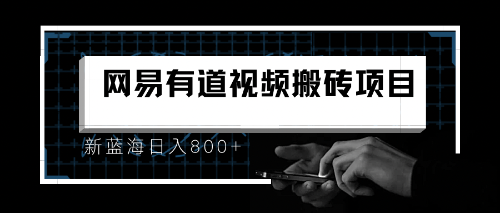 8月有道词典最新蓝海项目，视频搬运日入800+-虫2小屋